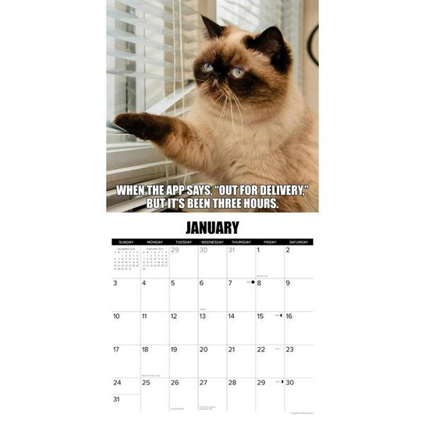 Cat-astrophe Calendar 2027, Wall Calendars, Month To View, Cats, Gift