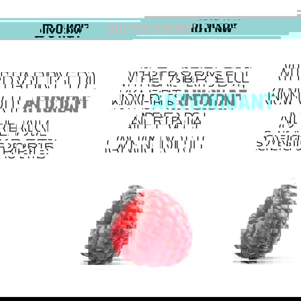 Goldwell Dualsenses Scalp Specialist Shampoo 250 ml