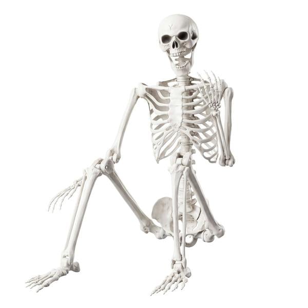 Yezi Halloween Skeleton Life Size Posable Jointed Decoration Haunted House White