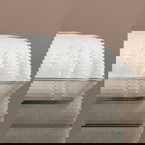 Soak&Sleep Soft as Down Pillows