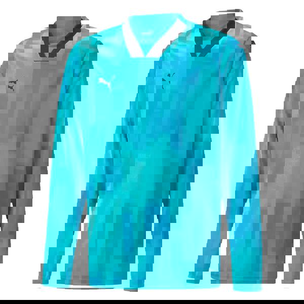 Puma Childrens/Kids Teamtarget Long-Sleeved Goalkeeper Jersey - Blue