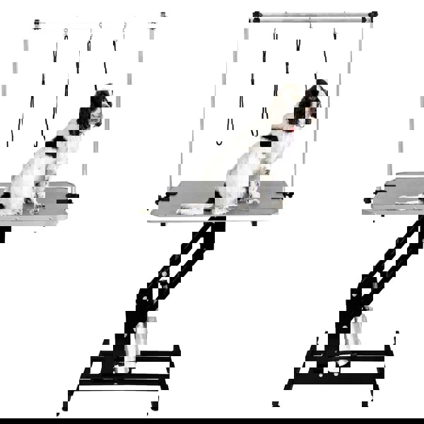 Black hydraulic grooming table with a grey textured top, featuring adjustable height and a dog secured with grooming loops