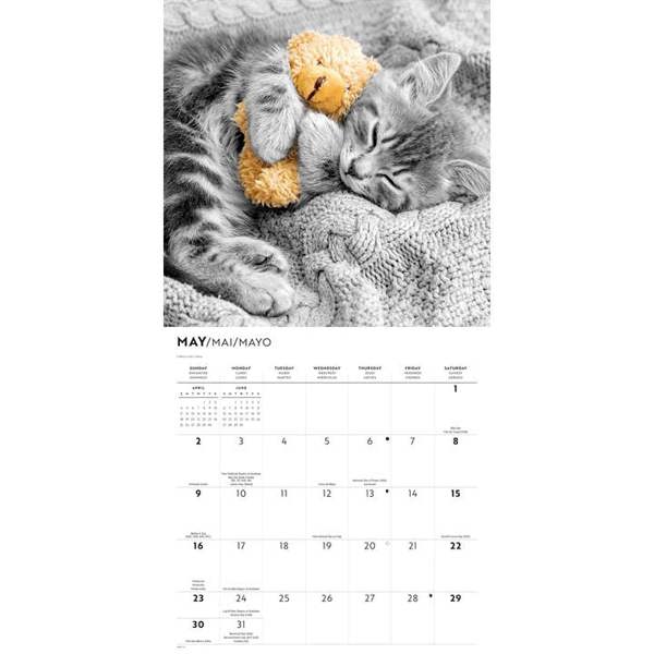 Cats Calendar 2027, Wall Calendars, Month To View, Cats, Gift