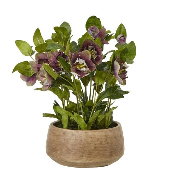 Wyld Haus Artificial Plant Deep Plum Hellebore Plant In Brown Ceramic Pot