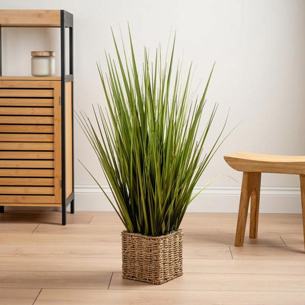 Scottish Everlastings 85cm Grass in Seagrass Square Pot