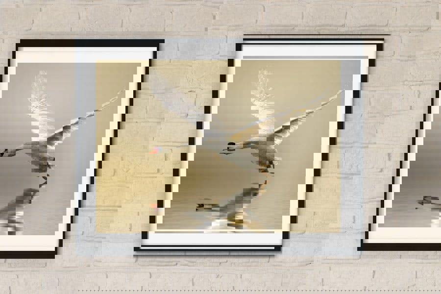 premium art print of a swan in flight