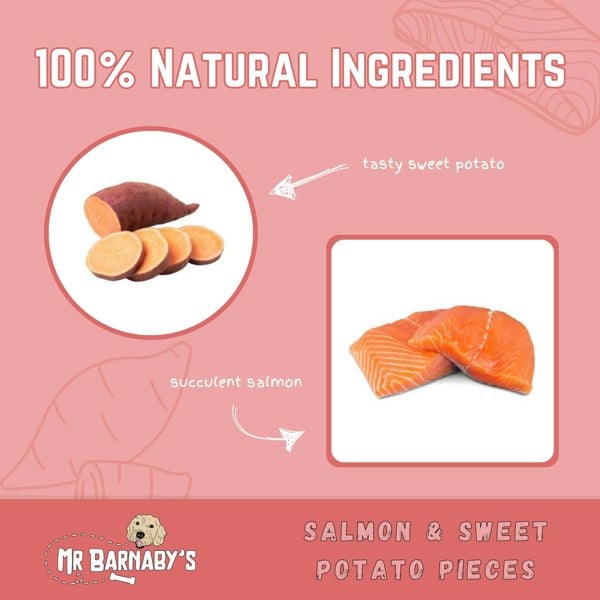 Mr Barnaby's Salmon & Sweet Potato Pieces