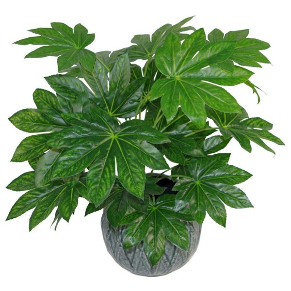 Leaf 60cm Leaf Design UK Realistic Large Artificial Foliage Plant with Pot