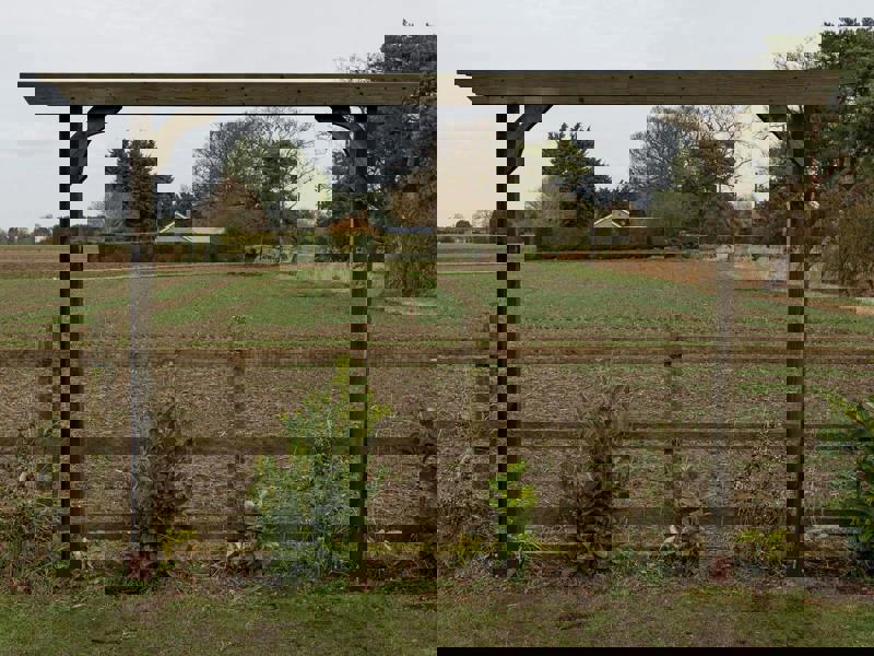 Arbor Garden Solutions Screen Double Beam Pergola, Plant Climbing Arbour - Sculpted Brace