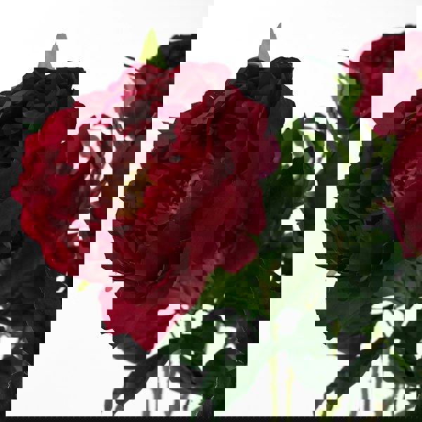 Leaf Pack of 6 x 80cm Artificial Dark Pink Peony Stem