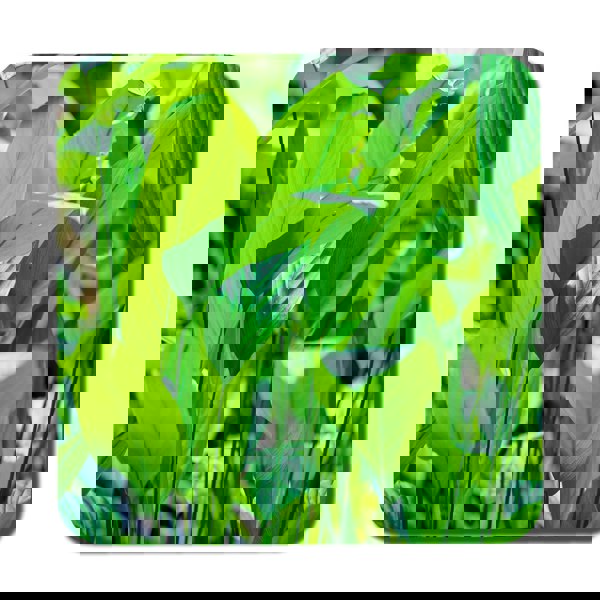 Benjamin Tate Design Green leaf background abstract of nature (Coaster)
