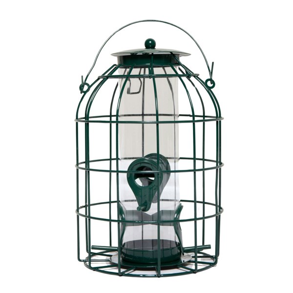 Samuel Alexander Metal Hanging Bird Seed Feeder with Squirrel Guard