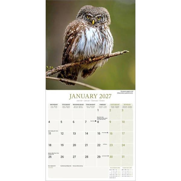 Owls Calendar 2027, Wall Calendars, Month To View, Animals, Gift