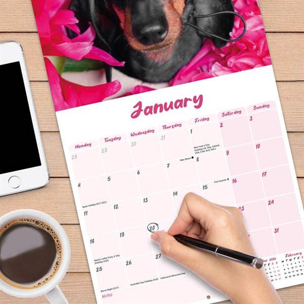 Dachshund Calendar 2027, Wall Calendars, Month To View, Dogs, Gift