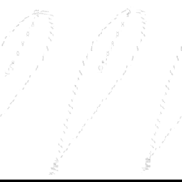 Racing Pigeon Silver Necklace - Personalised - MYLEE London
