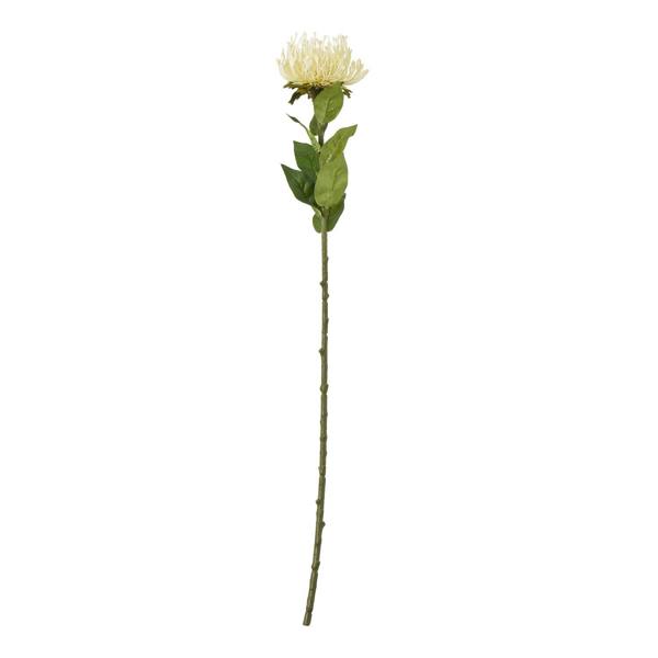 Wyld Haus Set of 3 Artificial Flowers Cream Protea Lorea Stems
