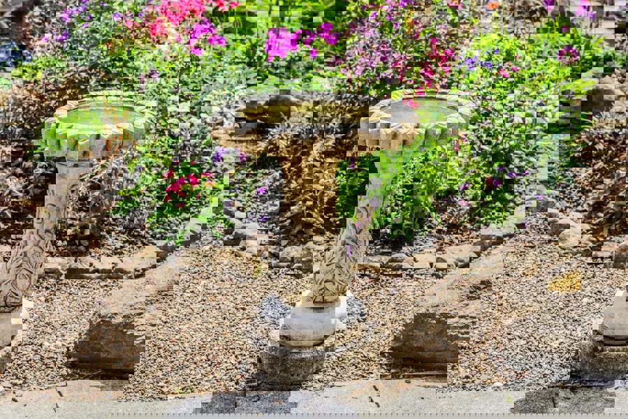 Daisy Design Birdbath with flower-shaped Basin