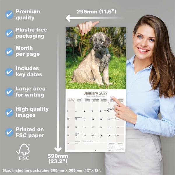 Irish Wolfhound Calendar 2027, Wall Calendars, Month To View, Dogs, Gift