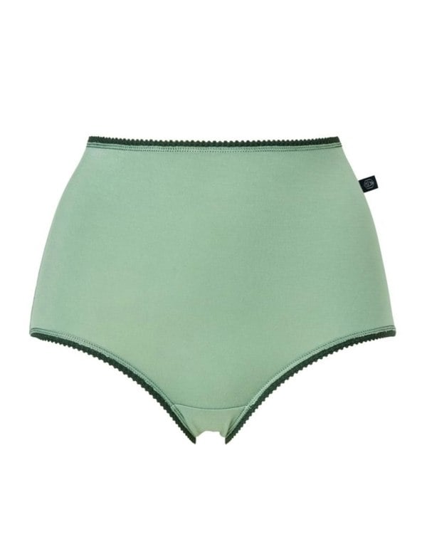 British Boxers Multipack! 4 Pairs of Women's Bamboo Full Briefs – Forest Berry