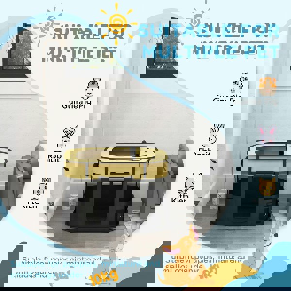 D06-217V02YL