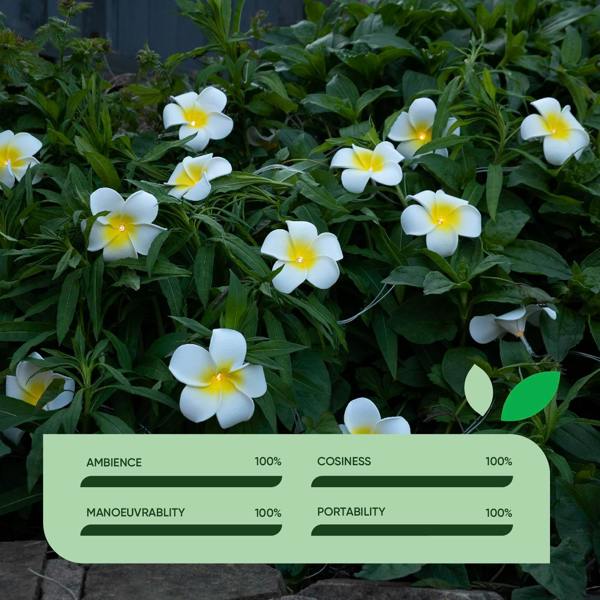 Gardenwize 20-Piece Solar String Lights – 2m Frangipani Flower LED Lights