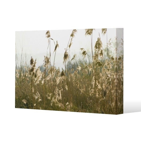 Benjamin Tate Design plumes Slimbridge Slim Style Canvas Print  90x120cm , 15mm Slim Real wood.