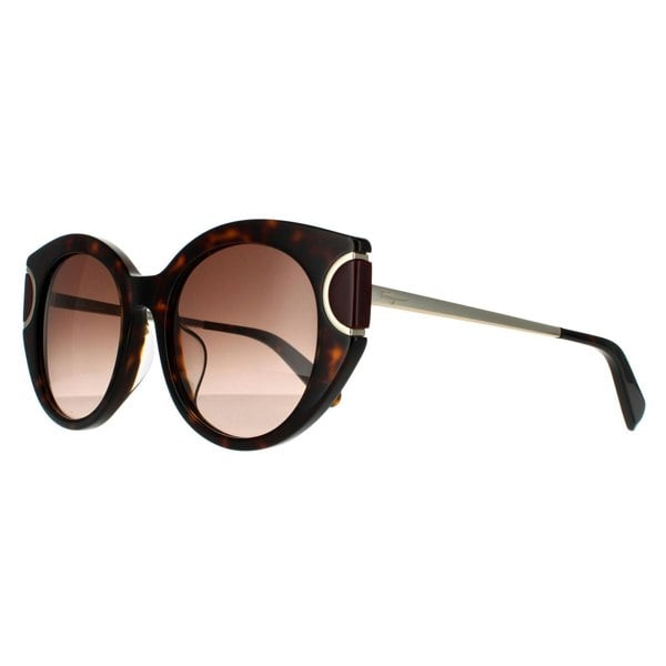 Salvatore Ferragamo Sunglasses SF840SA 214 Tortoise Brown Gradient