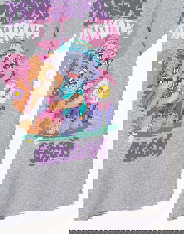 Paw Patrol Unisex Kids Grey Pawsome Friendships Short Sleeved T-Shirt