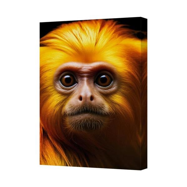 Benjamin Tate Design Premium Golden Orangutan Close Up Canvas Wall Art Print