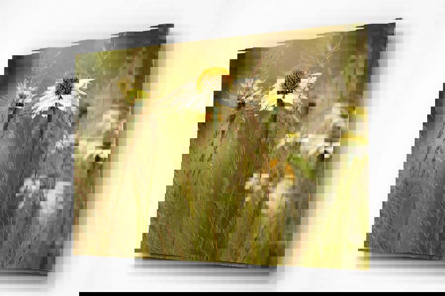 wildflower summer field print