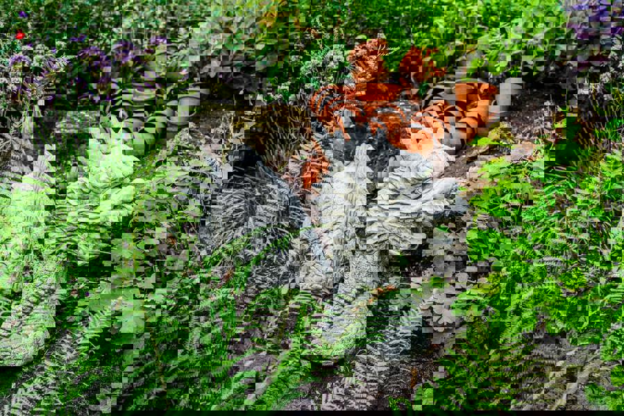 3 Piece Stone CastDragon Statue