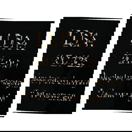 Memorials Direct Cat Memorial Plaque – Premium Black Granite (Plain Solid Design) – Available in Standard & Large Sizes