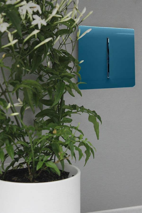 Trendi Switch 1 Gang Intermediate Rocker Light Switch in Midnight Blue