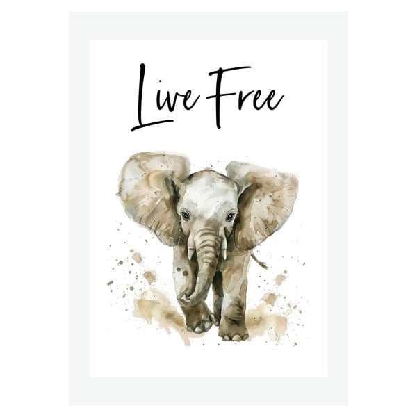 Kinder Valley Safari Live Free Pack Of A3 Poster Prints