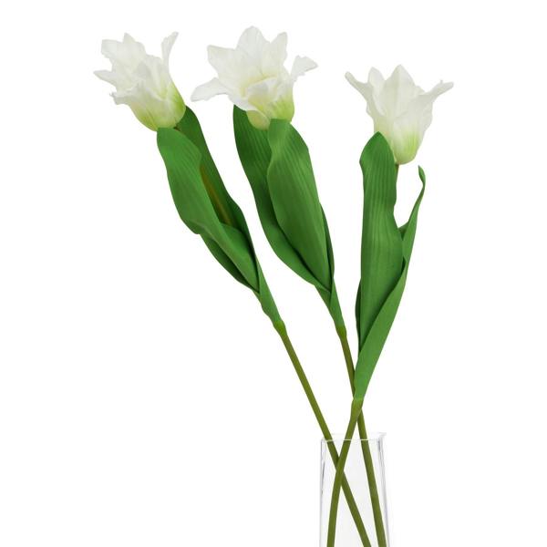 Wyld Haus Set of 3 Artificial Flowers White Curcuma Stem