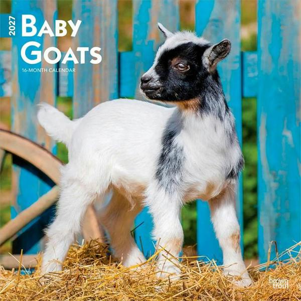 Baby Goats Calendar 2027, Wall Calendars, Month To View, Animals, Gift