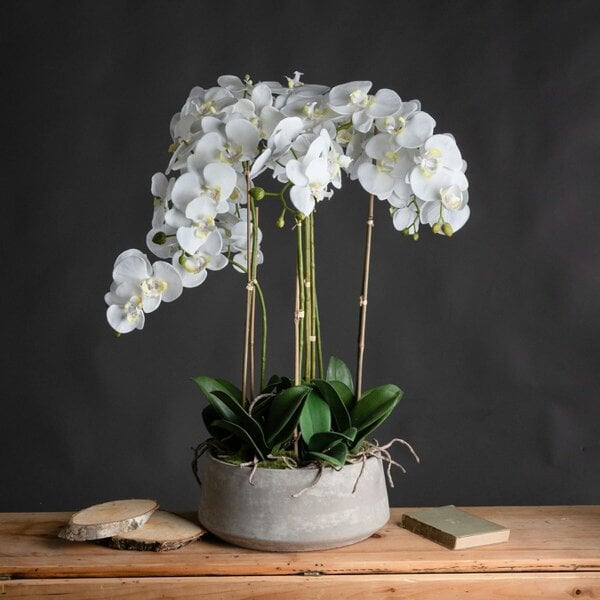 Wyld Haus Artificial Flowers Large White Orchid in Stone Pots