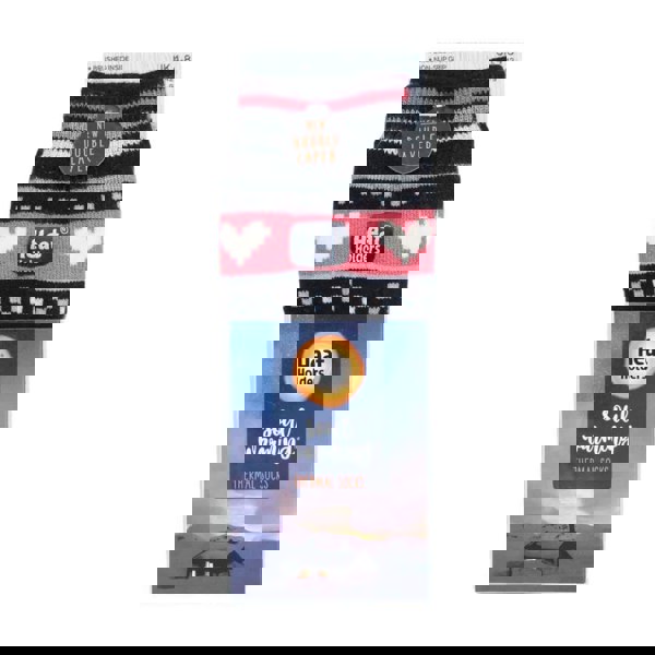 t4option1_0