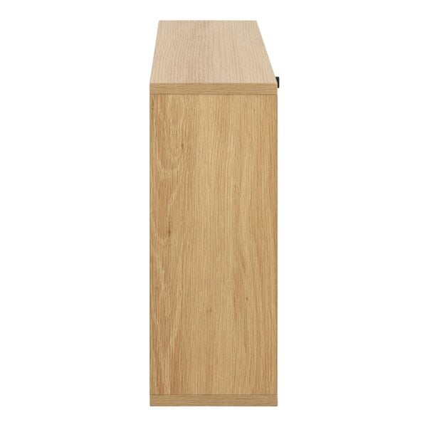 Wyld Haus Bjork Natural Oak Wood and Black Panelled Shoe Cabinet 1 Door