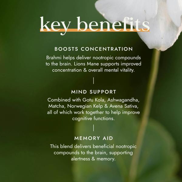 Fushi Wellbeing Nootropic Brain Blend