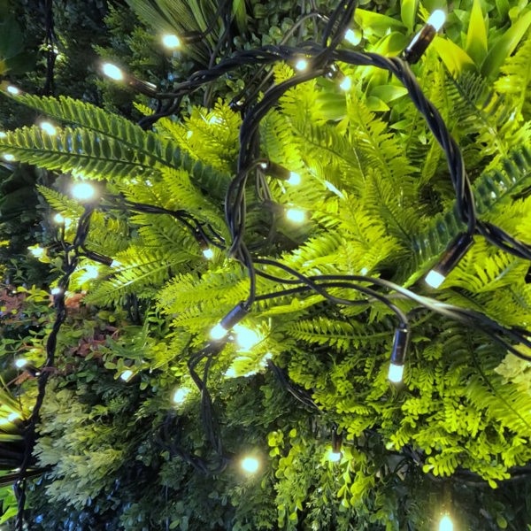 Lighting Legends Pro Link Connectable Outdoor LED Fairy String Lights