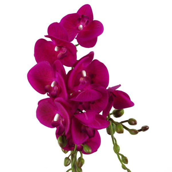 Leaf 54cm Artificial Orchid Plant - Dark Pink Gold Pot