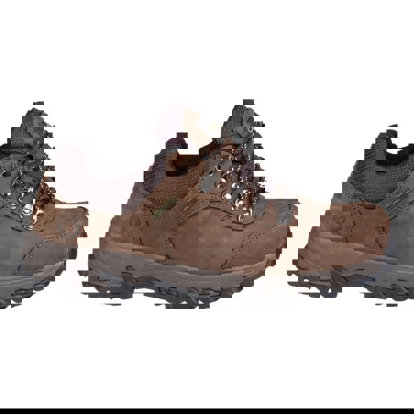 Cotswold Hawling Men's Shoes in Brown