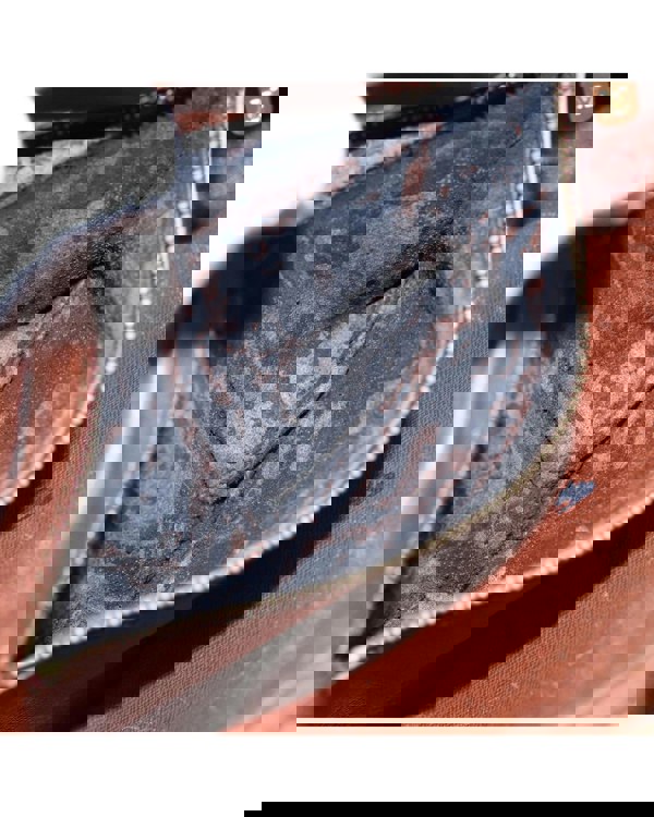 193975090.jpg