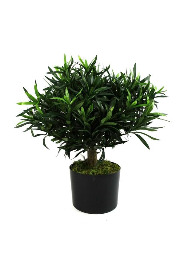 Dyzi 40cm Artificial Podocarpus Bush with Genuine Wood Trunk