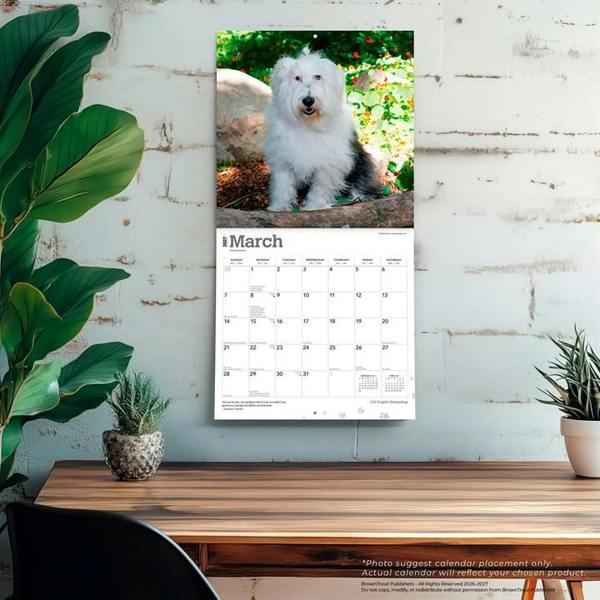 Old English Sheepdogs Calendar 2027, Wall Calendars, Month To View, Dogs, Gift