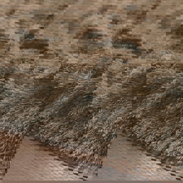 Origins Glamour Deluxe Champagne