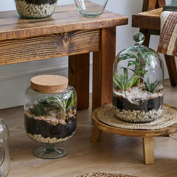 Ivyline Glass Footed Cork Lid Terrarium
