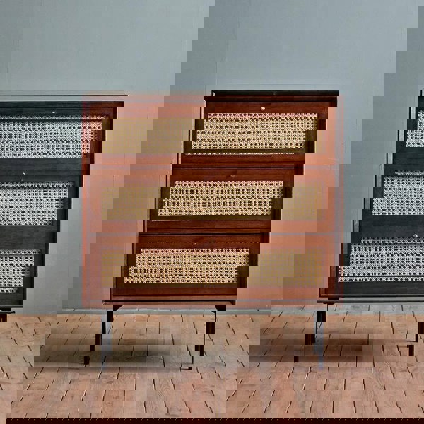 Xavier Sideboard, Side Cabinet, Rattan in a lifestyle setting with cabinet hinges