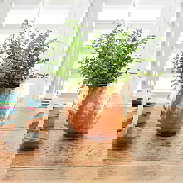 Paper High Hammered Iron Round Planter